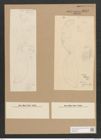 Amphiprora gigantea Grun. (de-Toni-Nr.: Genus 29, Species 1318) Zeichnungen Sammlung Grunow Nr. 2542 (NHMW-BOT-W0369716)